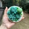 SUCCULENT-CANDLE-B