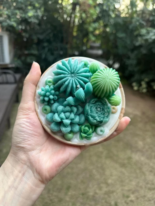 SUCCULENT-CANDLE-B
