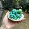 SUCCULENT-CANDLE-C