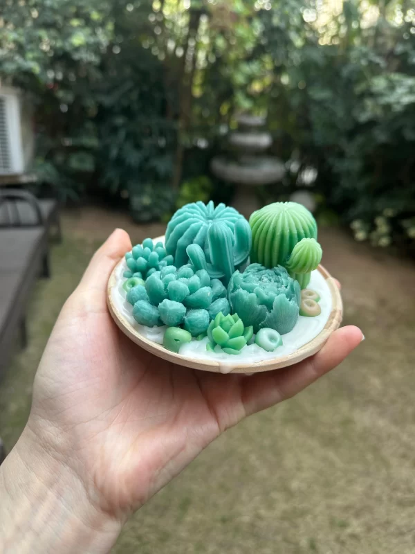 SUCCULENT-CANDLE-C