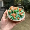 SUCCULENT-CANDLE-D