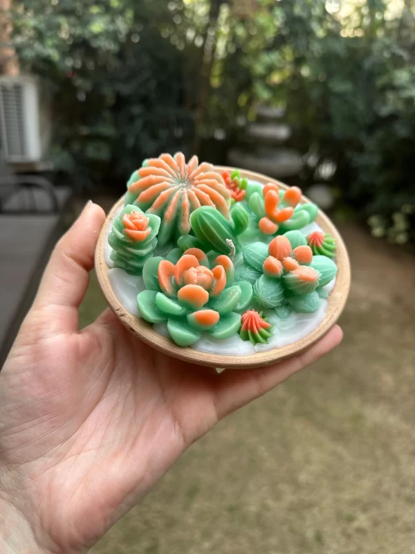 SUCCULENT-CANDLE-D