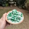 SUCCULENT-CANDLE-E