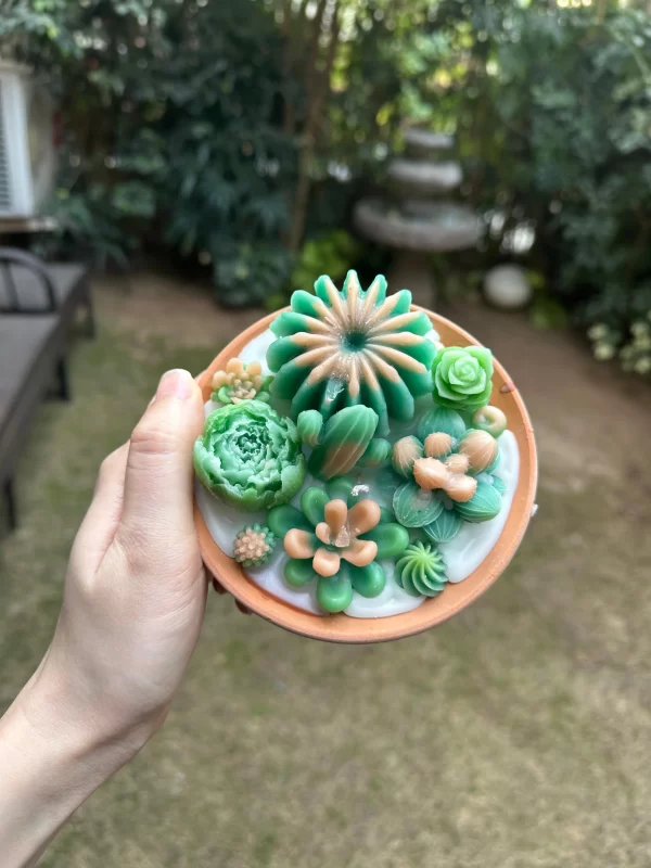 SUCCULENT-CANDLE-G