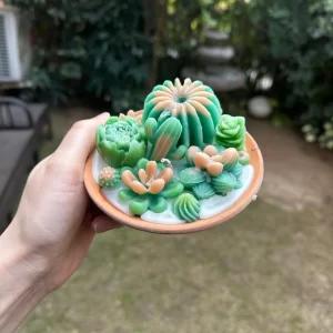 SUCCULENT-CANDLE-H