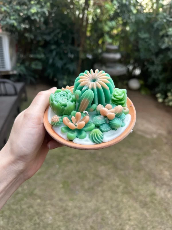 SUCCULENT-CANDLE-H