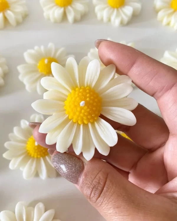 daisy-candle
